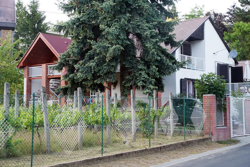 Kincsem Apartman Apartment Badacsonytomaj Room photo